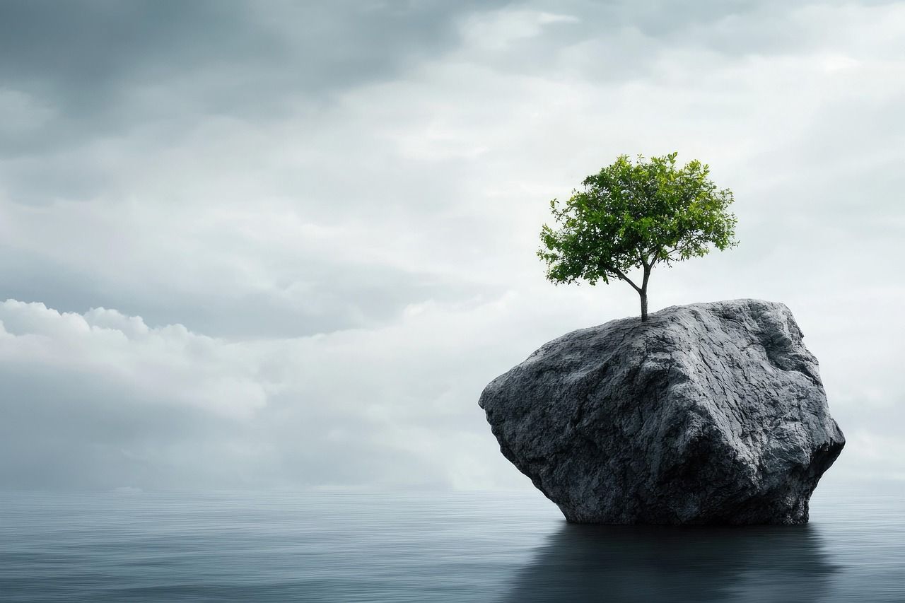 Resilience building tips to strengthen your mental health explore the concept of resilience and discover strategies to build mental strength, overcome challenges, and thrive in the face of adversity.