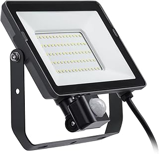 PILA Projecteur LED avec détecteur de mouvement extérieur, 50 W, non réglable, lumière blanche neutre (4000 K), 4750 lumens, durée de vie de 35 000 h, câble de 60 cm