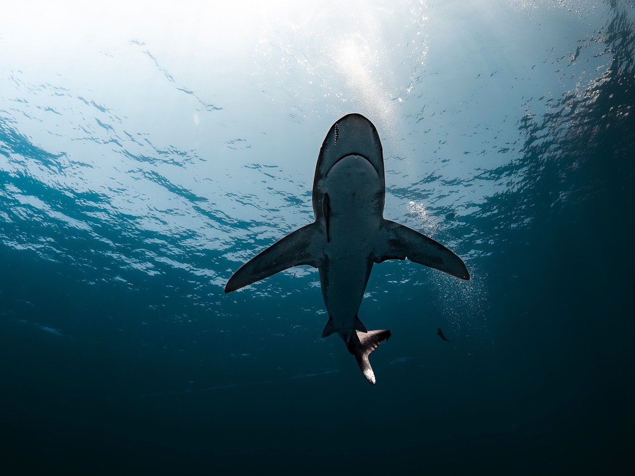 Deep work strategies to boost focus and productivity